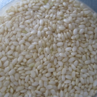 買うとお高い発芽玄米。これからは自家製を食べ続けま～す